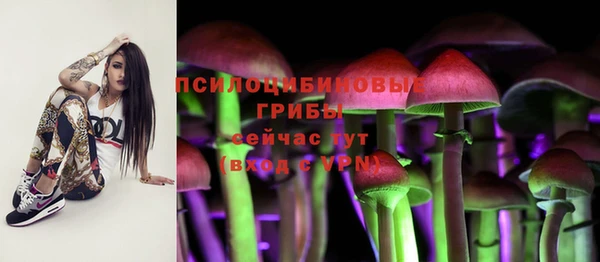 амф Слюдянка