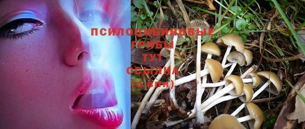 кокаин премиум Алексин