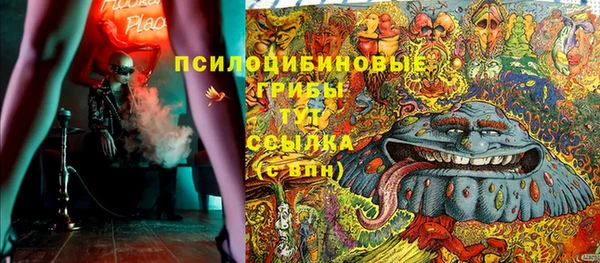 прущие крисы Алзамай
