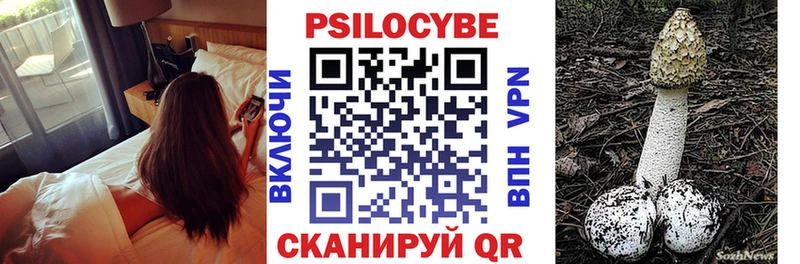 дарнет шоп гидра ONION Галлюциногенные грибы ЛСД Жирновск